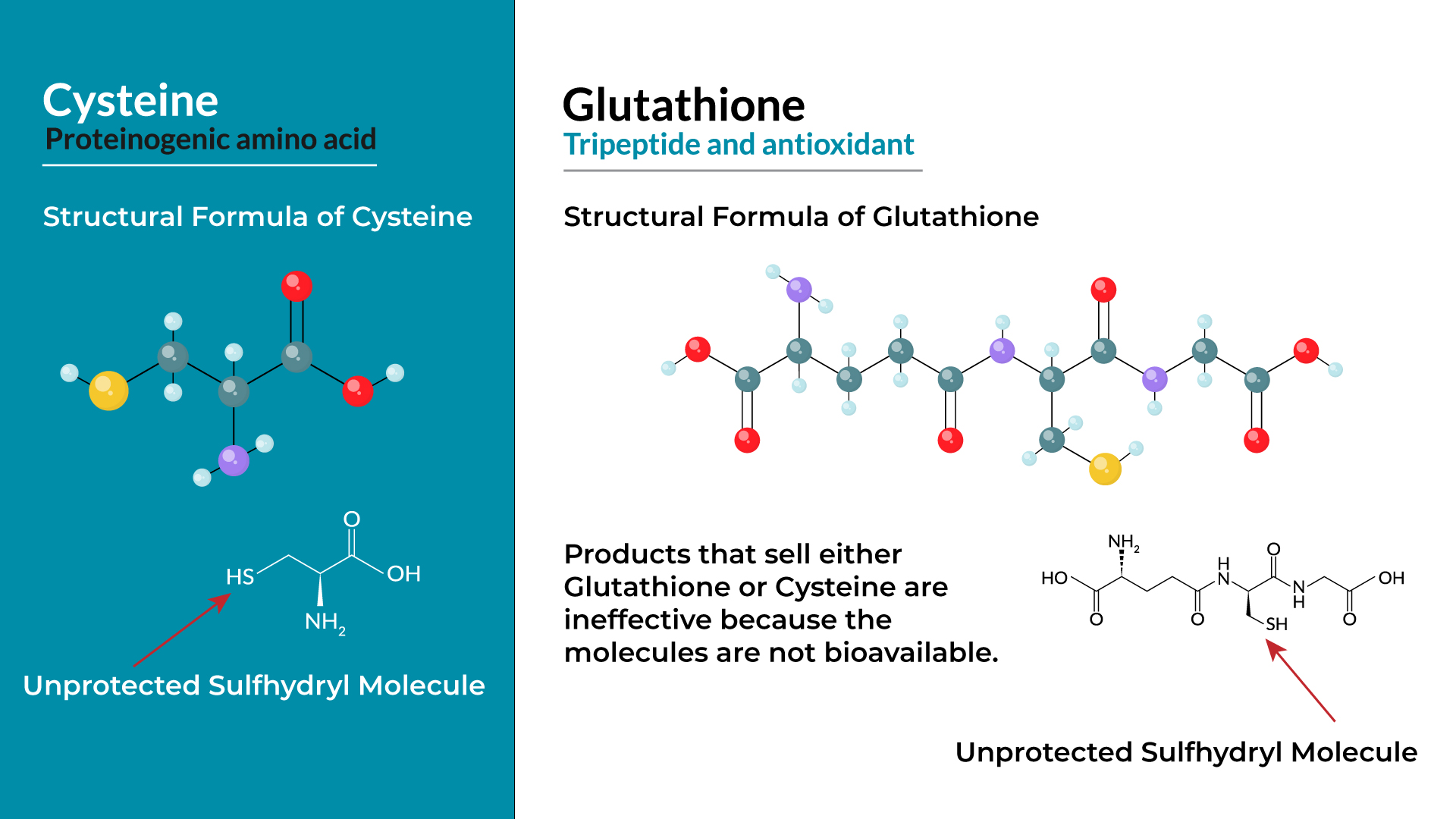 Graphic of a Cysteine and Glutathione molecule highlighting the unprotected sulfhydryl group