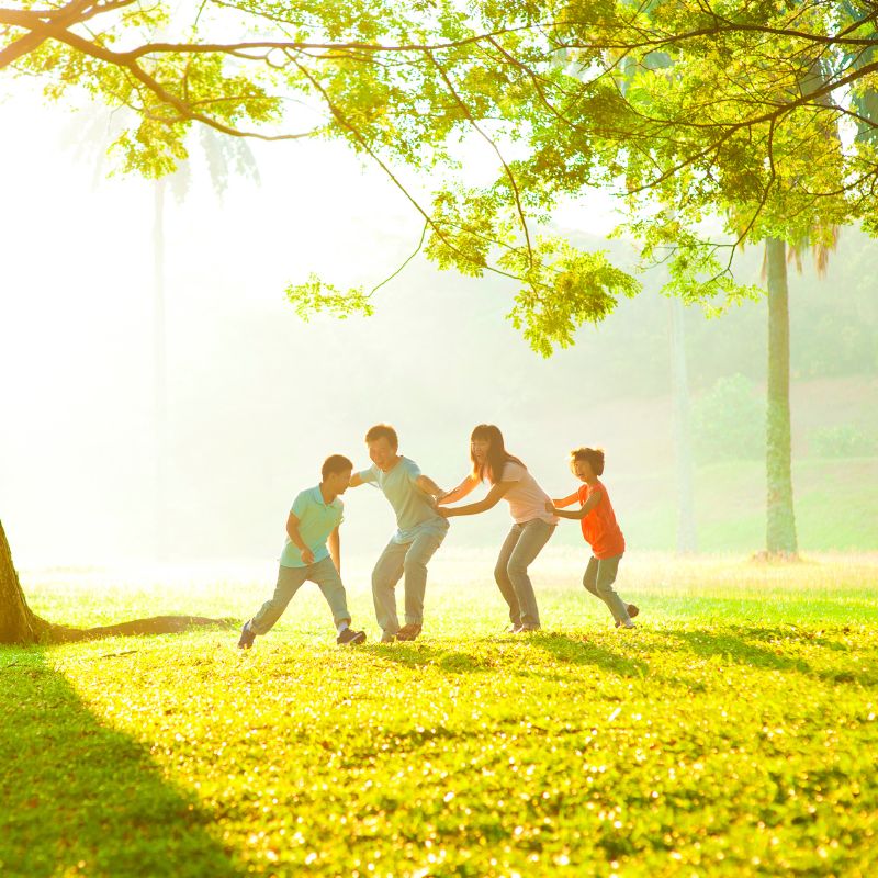 Image of a family playing in the park