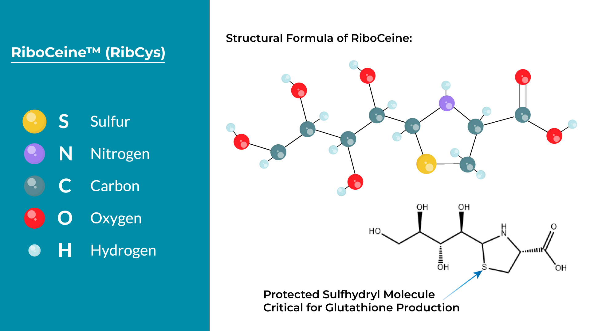 Graphic of the Ribose-Cysteine molecule highlighting a protected sulfhydryl group.